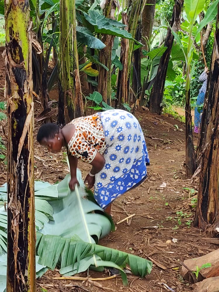 Support the Salome Foundation by joining a Chaga Village Experience.